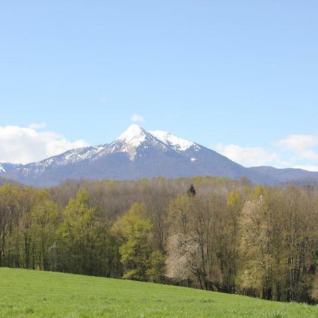 Maison Du Coue Pyrenees Mourtis Gite Pour 2 A 12 Pers Sengouagnet Exterior photo